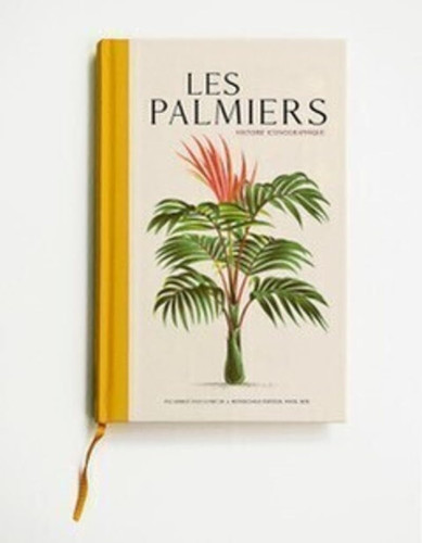Les Palmiers Histoire iconographique