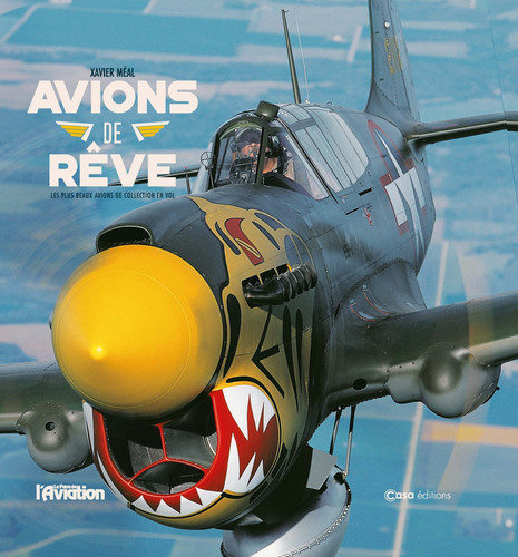 Avions de rêve Les plus beaux avions de collection en vol
