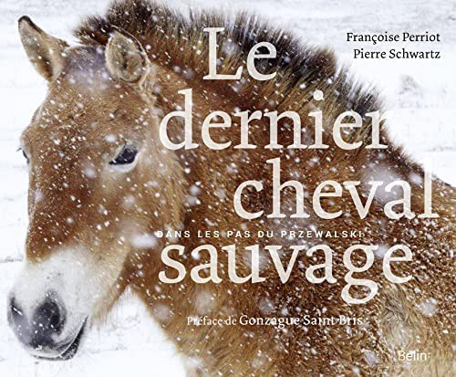 Le dernier cheval sauvage Dans les pas du Przewalski