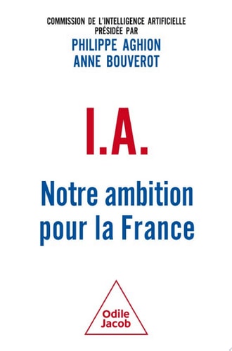 IA : notre ambition pour la France