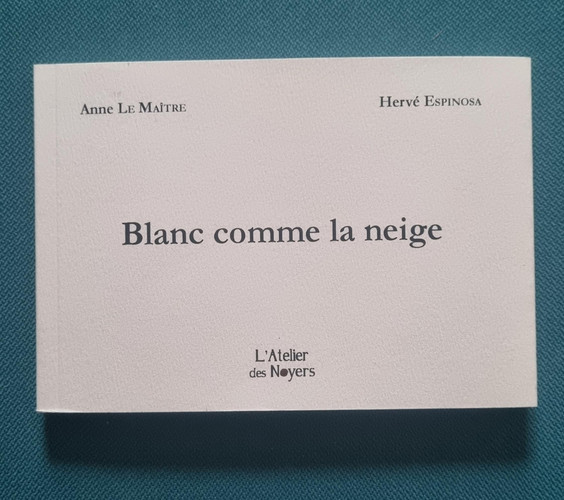 Blanc comme la neige (petit format)
