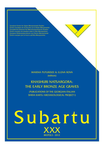 Khashuri Natsargora : the Early Bronze Age Graves (Publications of the Georgian-Italian Shida Kartli Archaeological Project I)