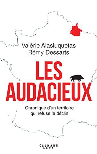 Les audacieux chronique d'un territoire qui refuse le déclin