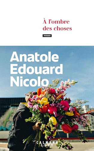 À l'ombre des choses roman