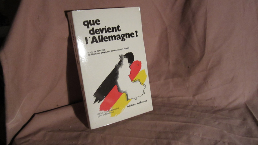 Que devient l'Allemagne? (French Edition)