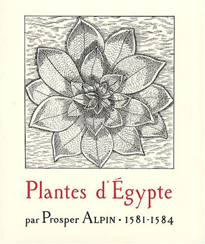 Flora olbiensis villa Noailles