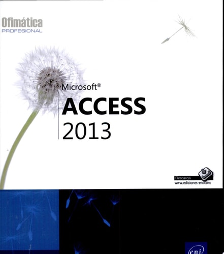 Access 2013