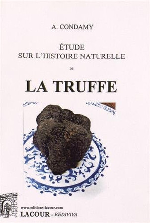 Histoire de l'image miraculeuse de Notre-Dame de Sion, en Lorraine, avec une pratique de dévotion