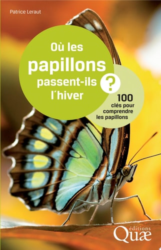 Où les papillons passent-ils l'hiver ? 100 clés pour comprendre les papillons