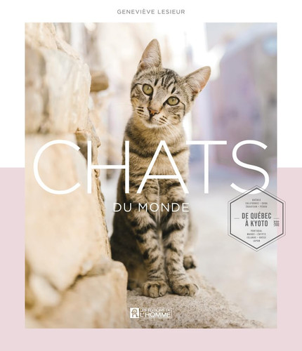 Chats du monde De Québec à Kyoto