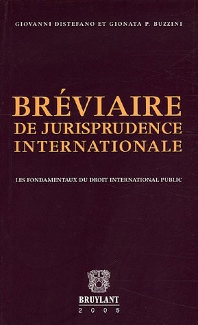 Bréviaire de jurisprudence internationale les fondamentaux du droit international public