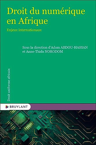 Droit numérique en Afrique enjeux internationaux