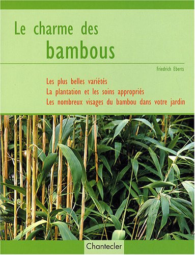 Le charme des bambous