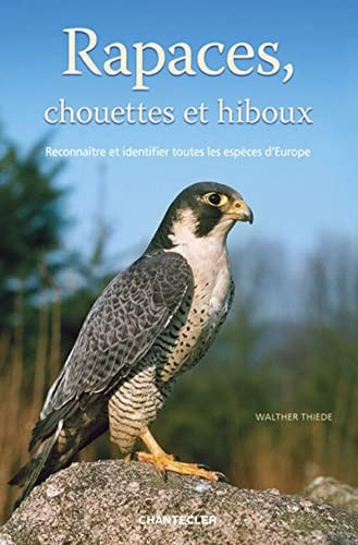 Rapaces, chouettes et hiboux: reconnaître et identifier toutes les espèces d'Europe