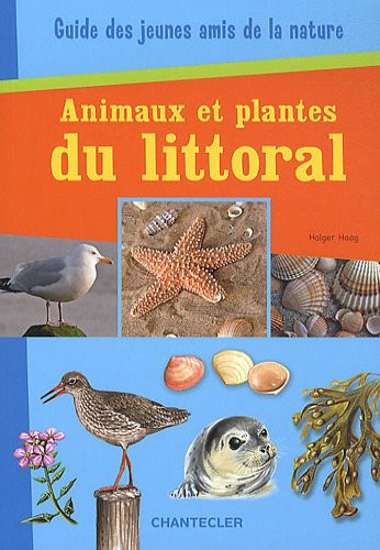 Animaux et plantes du littoral
