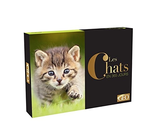 Calendrier Geo - Chats En 365 Jours