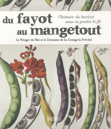 Du fayot au mangetout l'histoire du haricot sans en perdre le fil
