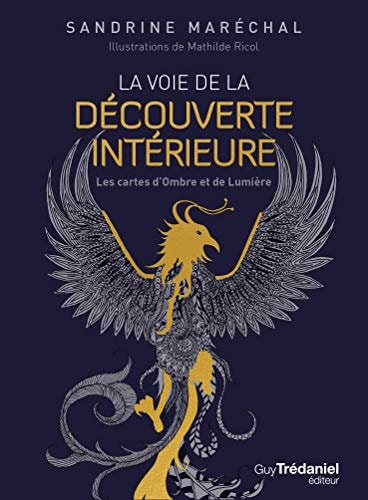 La voie de la découverte intérieure Les cartes d'Ombre et de Lumière