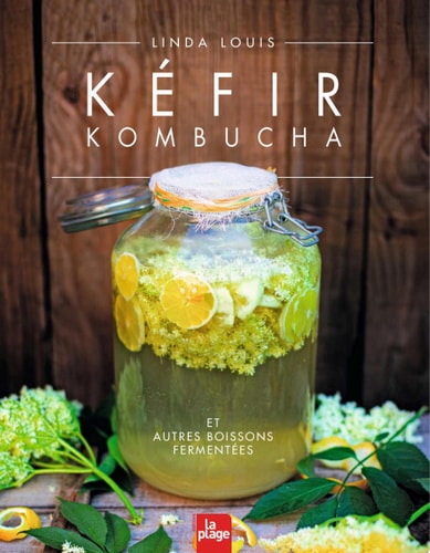 Kéfir Kombucha et autres boissons fermentées