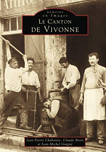 Le canton de Vivonne