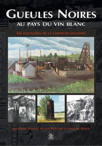Gueules noires au pays du vin blanc les houillères de la corniche angevine