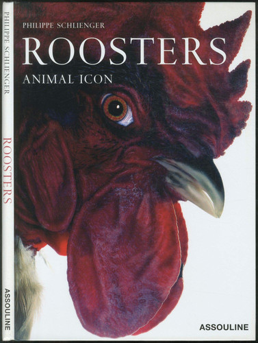 Rooster