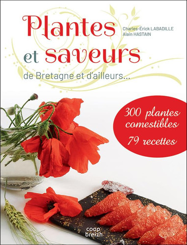 Plantes et saveurs: de Bretagne et d'ailleurs: 300 plantes comestibles, 79 recettes
