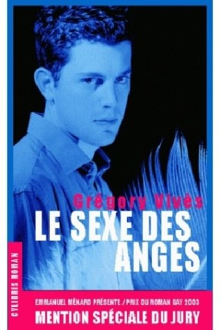 Le sexe des anges roman