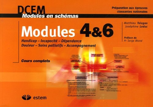 Modules 4 et 6 Handicap, incapacité, dépendance