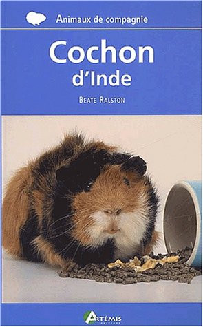 Cochon d'Inde