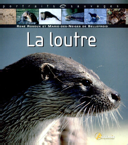 La loutre