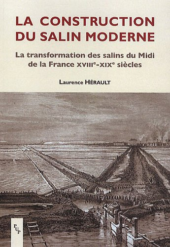 Construction du salin moderne