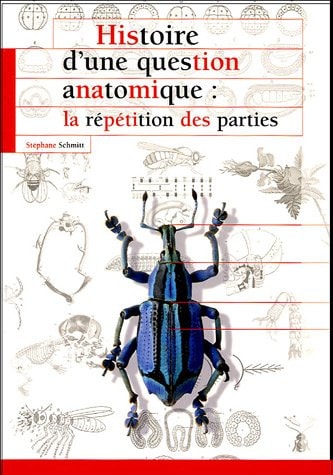 HISTOIRE D UNE QUESTION ANATOMIQUE (0000)