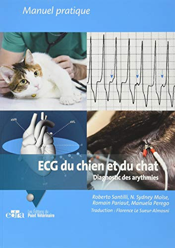 ECG du chien et du chat : diagnostic des arythmies