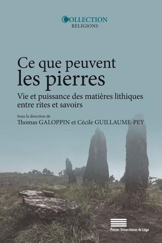 Ce que peuvent les pierres vie et puissance des matières lithiques entre rites et savoirs