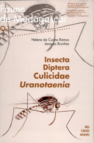 Insecta Diptera Culicidae Uranotaenia