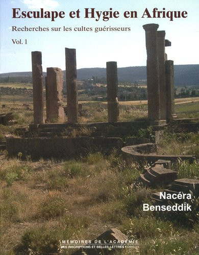Esculape Et Hygie En Afrique: Recherches Sur Les Cultes Guerisseurs (French Edition)
