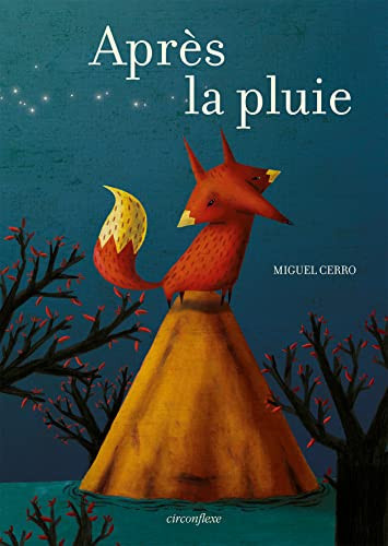 Après la pluie