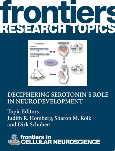 Deciphering serotonin´s role in neurodevelopment