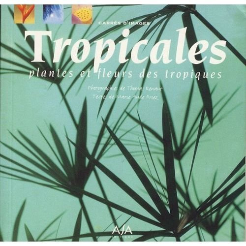 Tropicales fleurs et plantes des tropiques