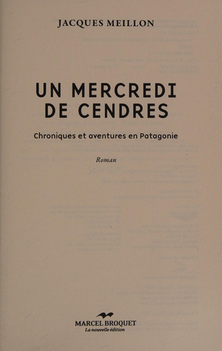 Un mercredi de cendres chroniques et aventures en Patagonie : roman