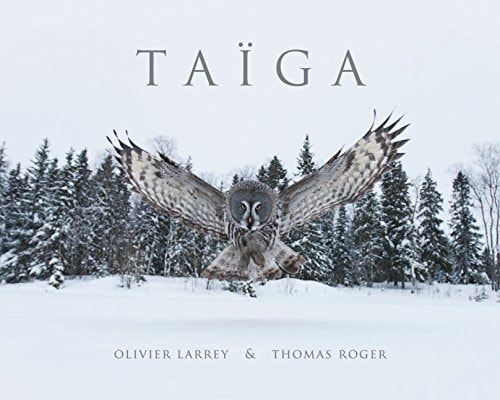 Taïga regards sur la nature finlandaise