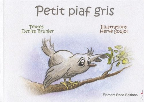 Petit piaf gris