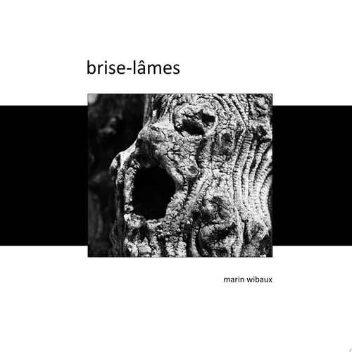 Brise-lâmes