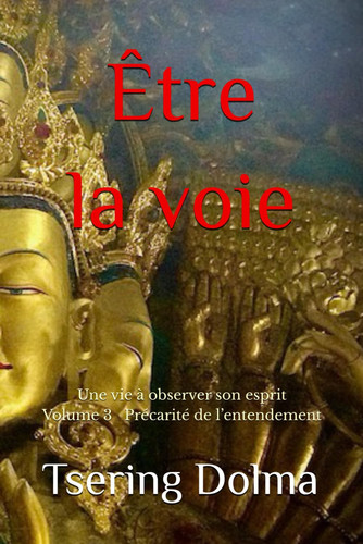 Être la voie: Une vie à observer son esprit Volume 3 Précarité de l’entendement (French Edition)
