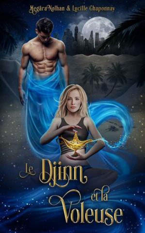 Le Djinn et la Voleuse (Il était (encore) une fois) (French Edition)