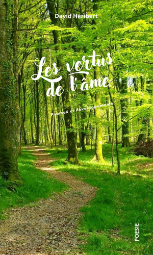 Les vertus de l'âme (French Edition)