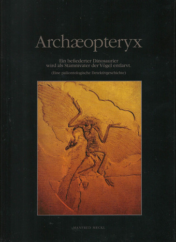 Archaeopteryx - ein befiederter Dinosa.uerier wird als Stammvater derVögel entlarvt.. Archaeopteryx /Jura /Solnhofen