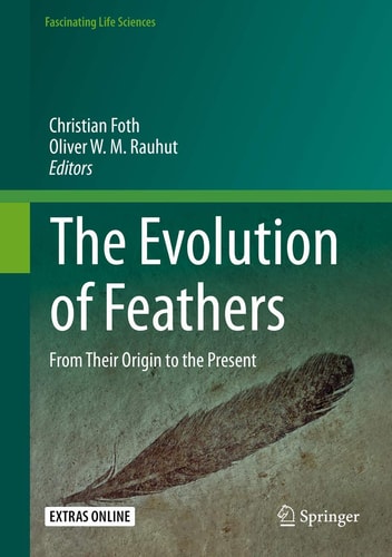 The Evolution of Feathers From Their Origin to the Present