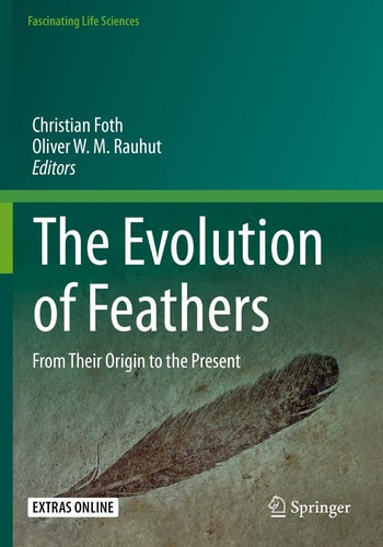 The Evolution of Feathers From Their Origin to the Present